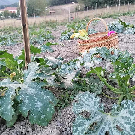 Фермерский дом Agriturismo Dei Legi
