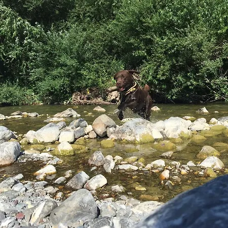 Alojamento de Turismo Rural Dei Legi *