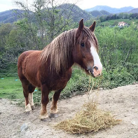 Agriturismo Dei Legi *