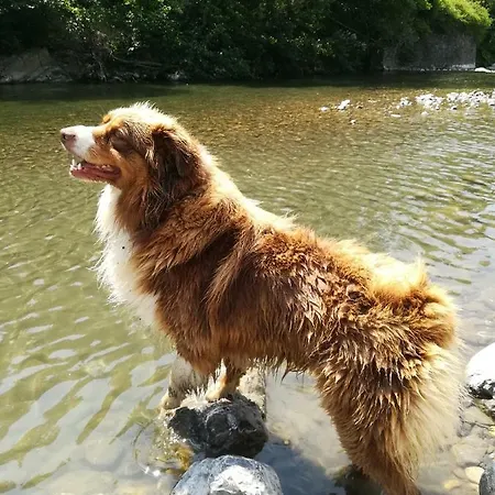 Agriturismo Dei Legi * San Pietro Vara