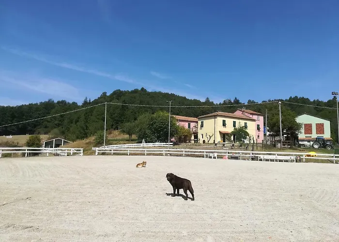 Dei Legi Feriegård *
