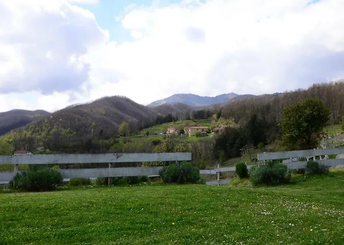 Dei Legi